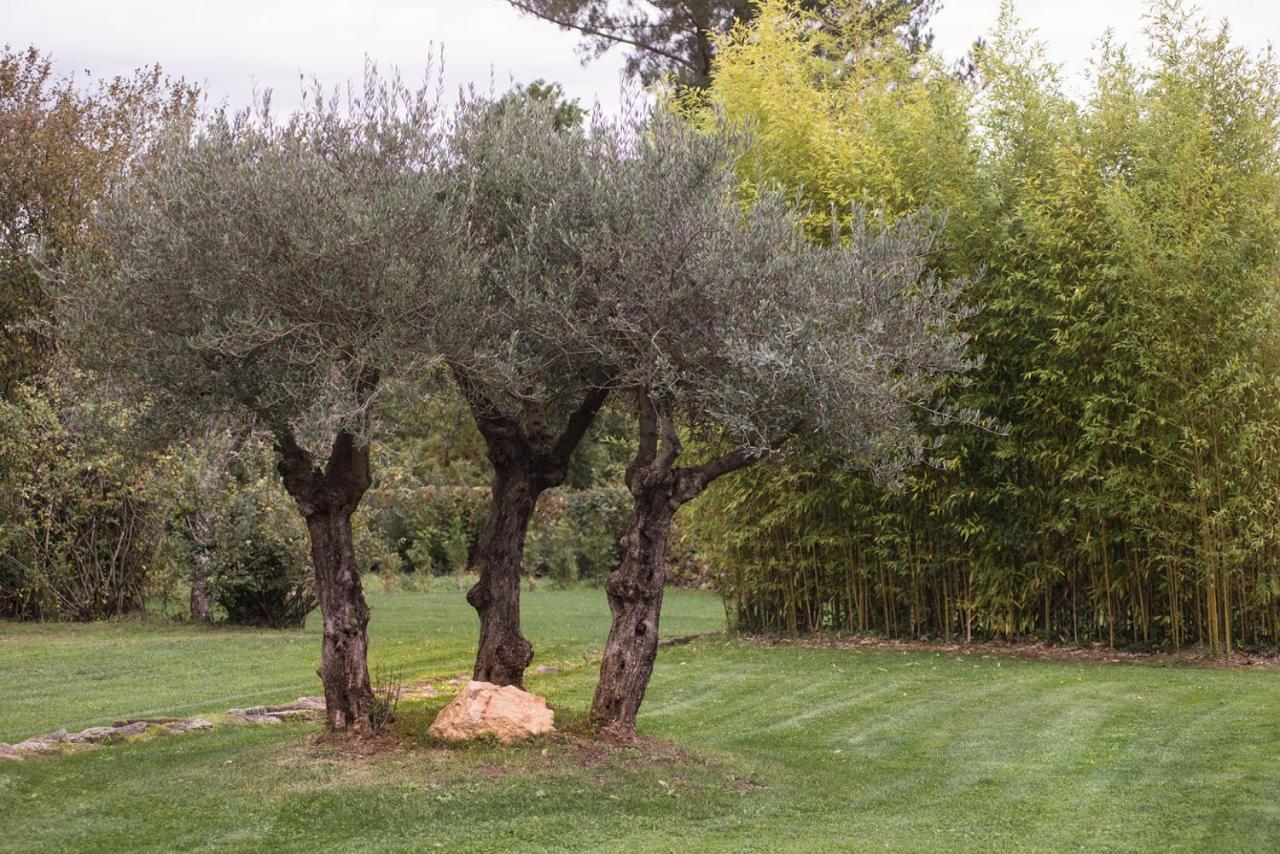 Jardines Pazo A Fabrica Guest House Celanova Exterior photo